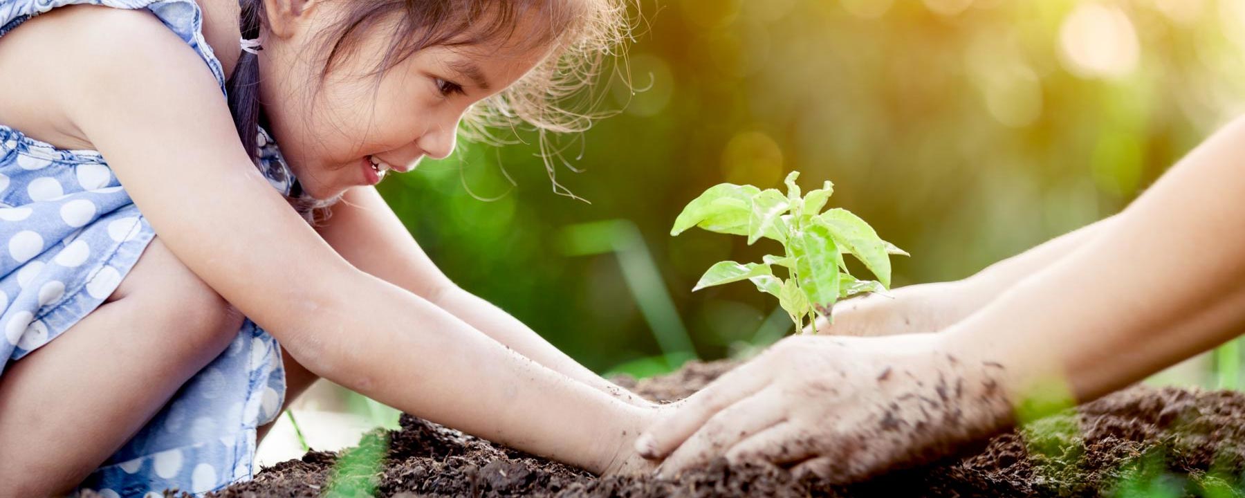 Ein Kind pflanzt einen Setzling im eigenen Garten mit den helfenden Händen ihrer Mutter.
